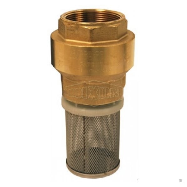 Strainer with Spring-Loaded Check Valve, 2 in, FNPT, Brass Body